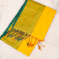 Brocade Tissue Saree -Yellow